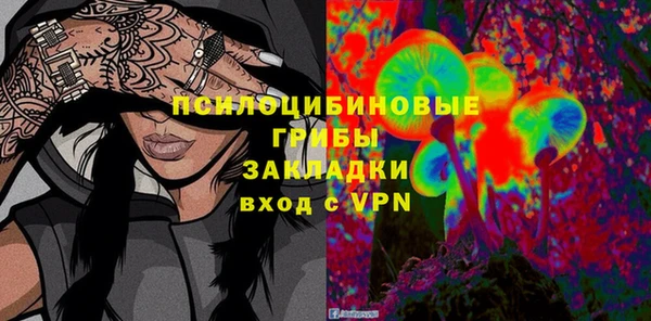 спиды Алексин