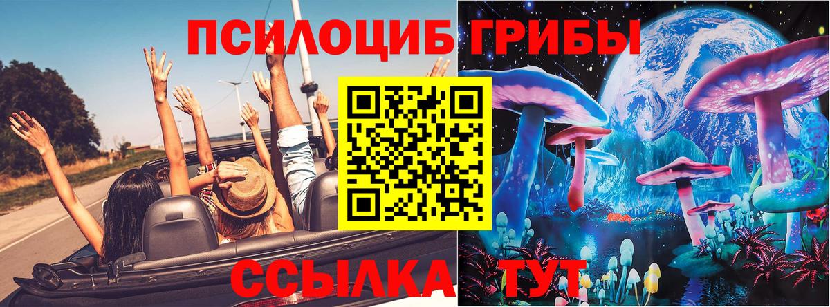 Псилоцибиновые грибы GOLDEN TEACHER Старая Русса